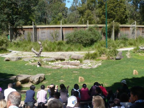 Birds of Prey Show - can you spot us at the most front row?